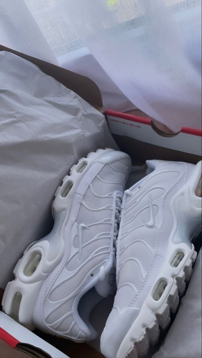 Nike TN Blanco 🤍